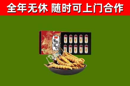 彭水县回收冬虫夏草价格